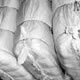  woven sacks,woven sacks manufacturer,woven sack industries in India, woven sacks suppliers,woven sack bags,woven sack, woven sack manufacturers,woven sack suppliers india