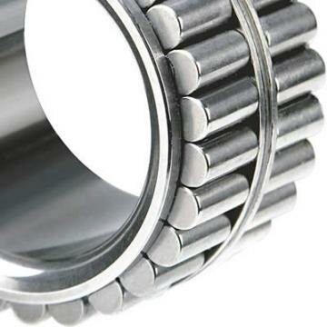 Manufacturer and supplier of needle roller bearing in India